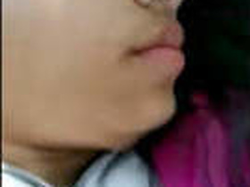 Clear audio captures the passionate sex of a college girl in a car