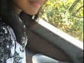 Adorable blonde girl giving head in the car