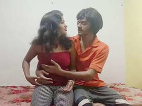 Desi siblings indulge in forbidden romance while alone in the house