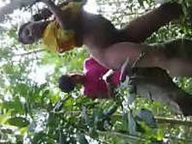 Desi village call girl meets customer outdoors
