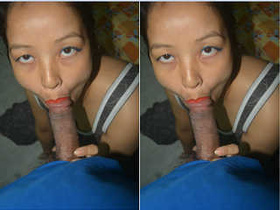 Desi wife receives a satisfying blowjob from her partner