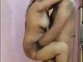 Stepmom gets fucked in standing position by stepson