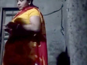 Desi bhabi's big tits get some love