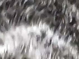 Desi aunty lifts up her saree in a steamy video