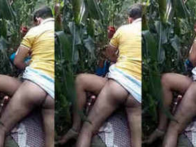 Indian woman from a rural community enjoys outdoor sex with her lover in the fields