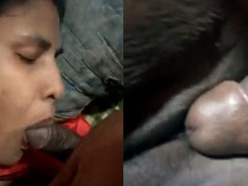 Desi wife shows off her sexy puss in village sex video